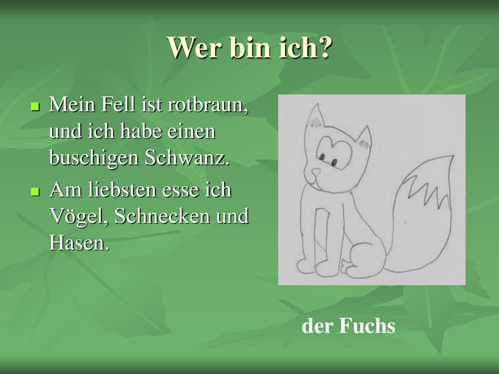 Wer bin ich Mein Fell ist rotbraun, und ich habe einen buschigen Schwanz. Am liebsten esse ich Vögel, Schnecken und Hasen.