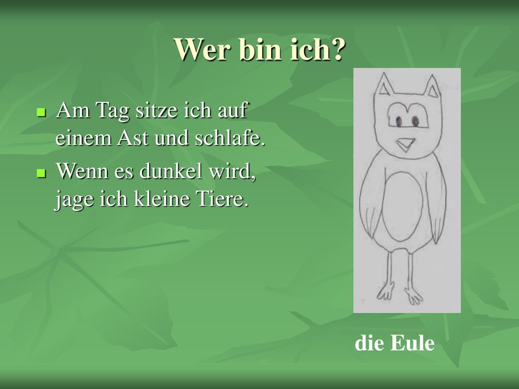 Wer bin ich Am Tag sitze ich auf einem Ast und schlafe.