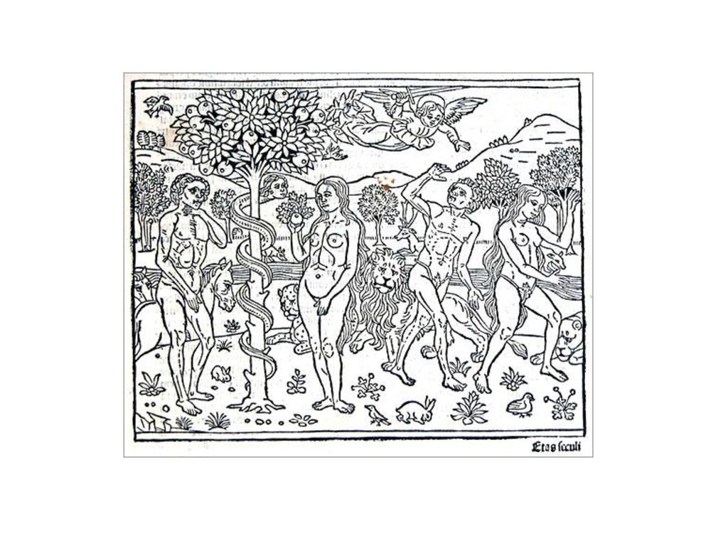 Donaueschinger Inkunabel: Giacomo Filippo Forèsti: Supplementum chronicarum, Venedig: Bernardinus Rizus 1492/93