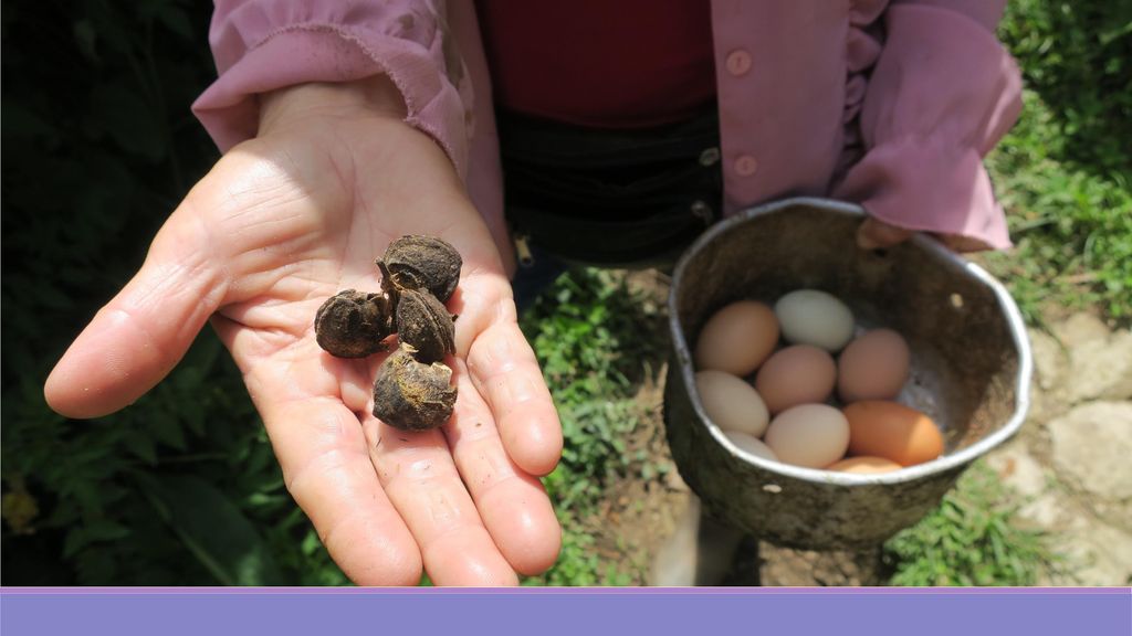Frauen am Land arbeiten zusammen um mit Landwirtschaftlichen Produkten ihren Lebensunterhalt abzusichern.