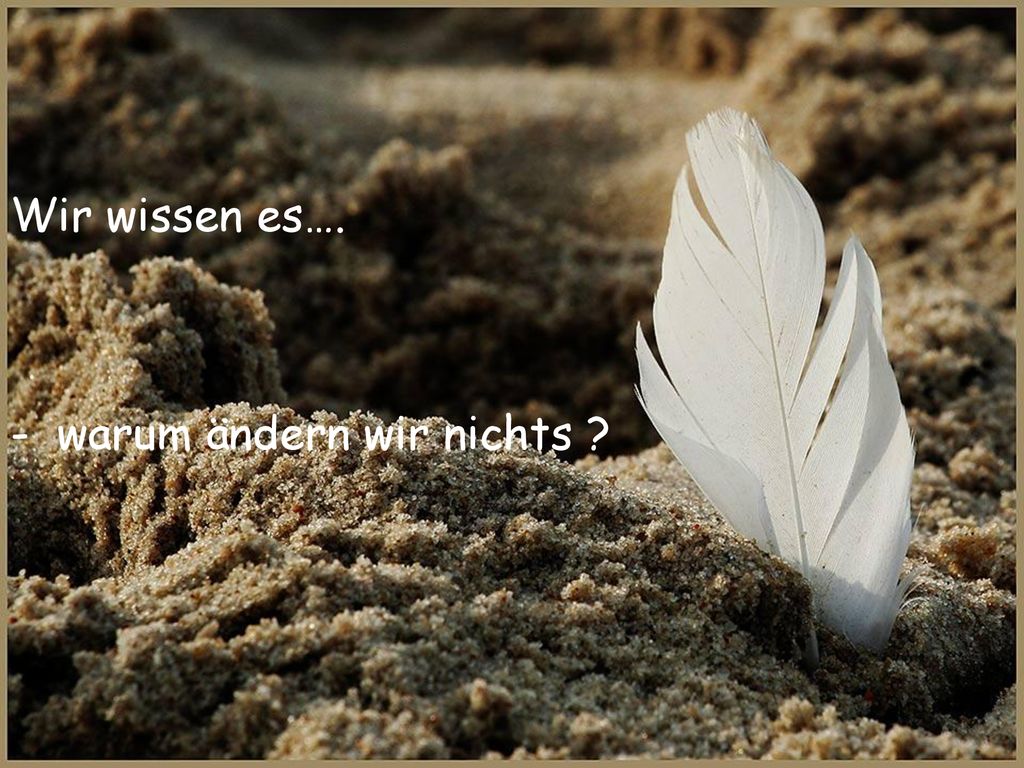 Wir wissen es…. - warum ändern wir nichts Mountain of China