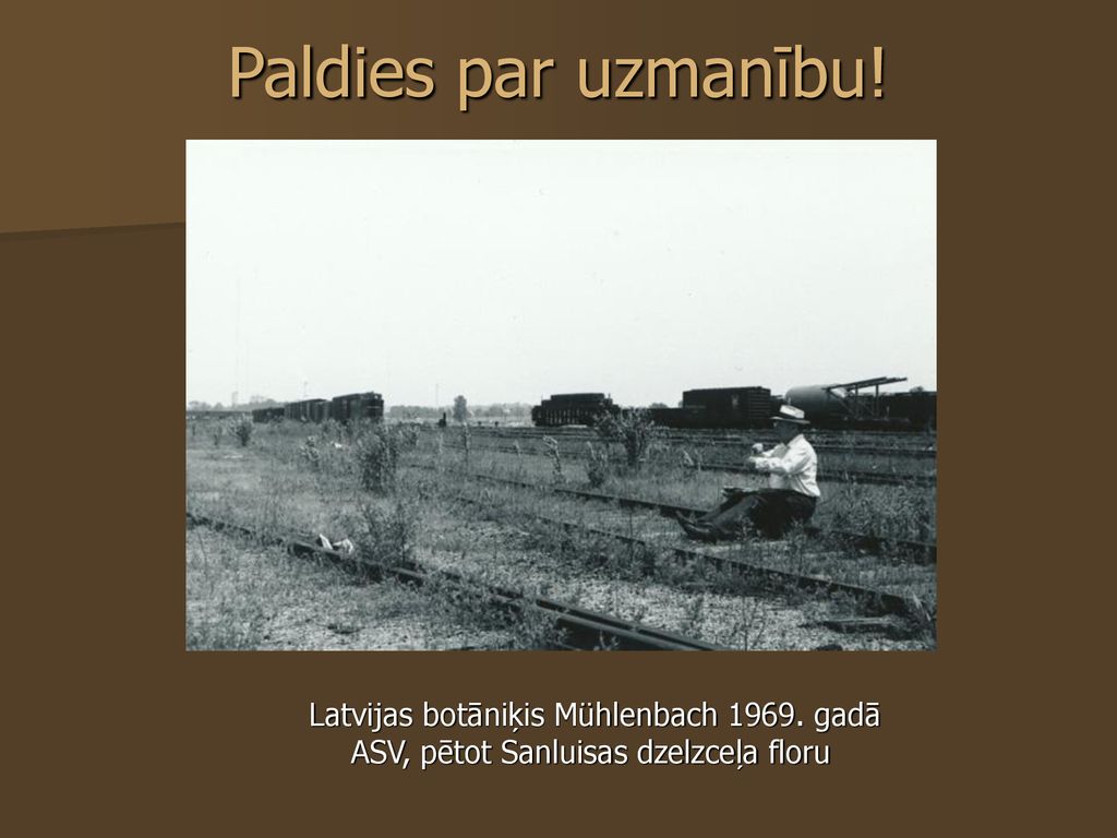 Paldies par uzmanību! Latvijas botāniķis Mühlenbach gadā ASV, pētot Sanluisas dzelzceļa floru