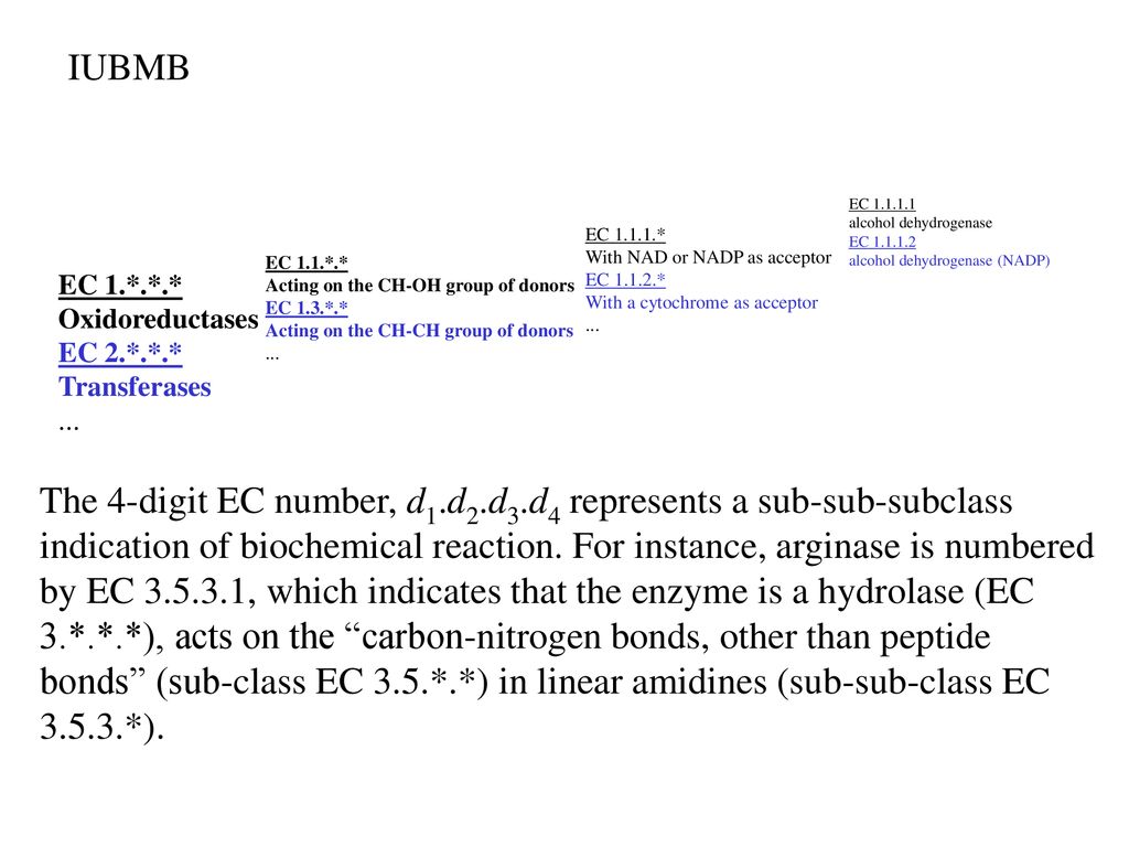 IUBMB EC 1.*.*.* Oxidoreductases. EC 2.*.*.* Transferases. ... EC 1.1.*.* Acting on the CH-OH group of donors.