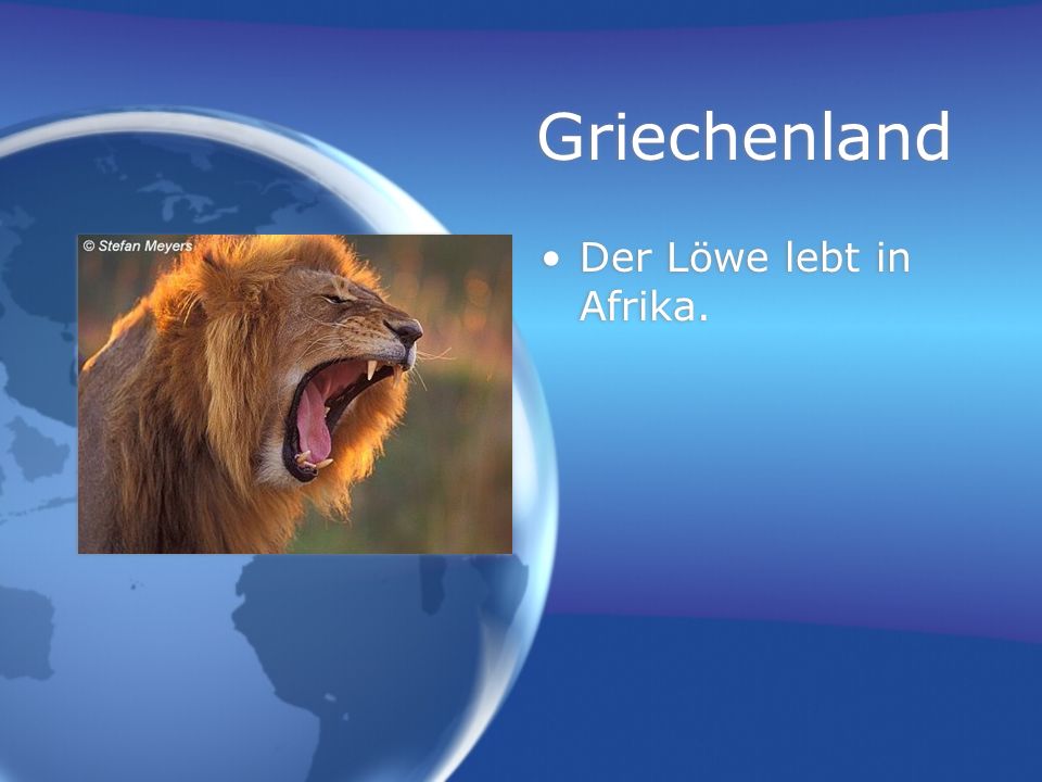 Griechenland Der Löwe lebt in Afrika.