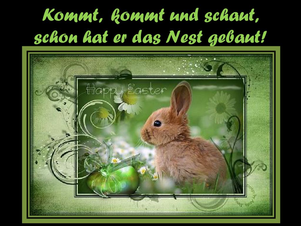 Kommt, kommt und schaut, schon hat er das Nest gebaut!