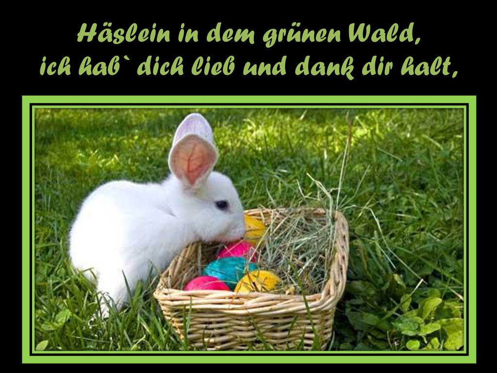 Häslein in dem grünen Wald, ich hab` dich lieb und dank dir halt,