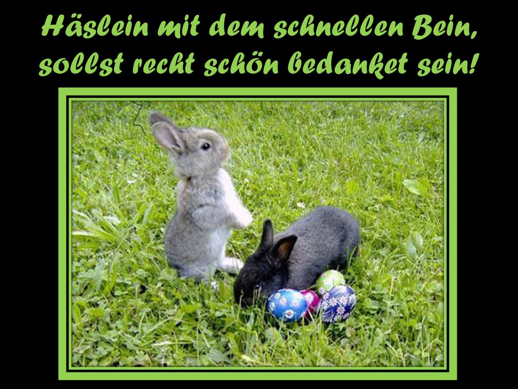 Häslein mit dem schnellen Bein, sollst recht schön bedanket sein!