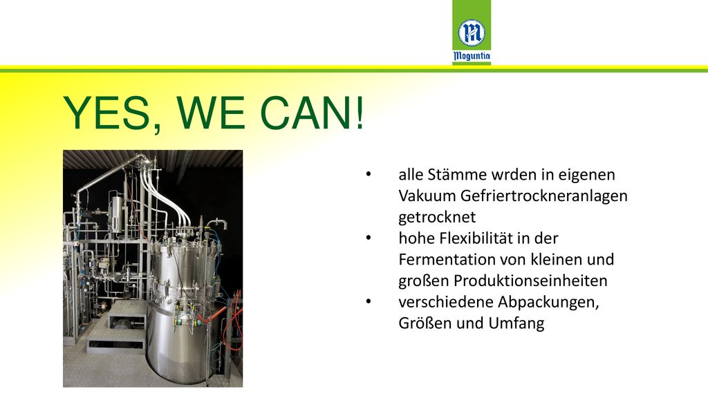 YES, WE CAN! alle Stämme wrden in eigenen Vakuum Gefriertrockneranlagen getrocknet.