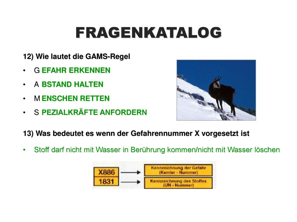 FRAGENKATALOG 12) Wie lautet die GAMS-Regel G EFAHR ERKENNEN A
