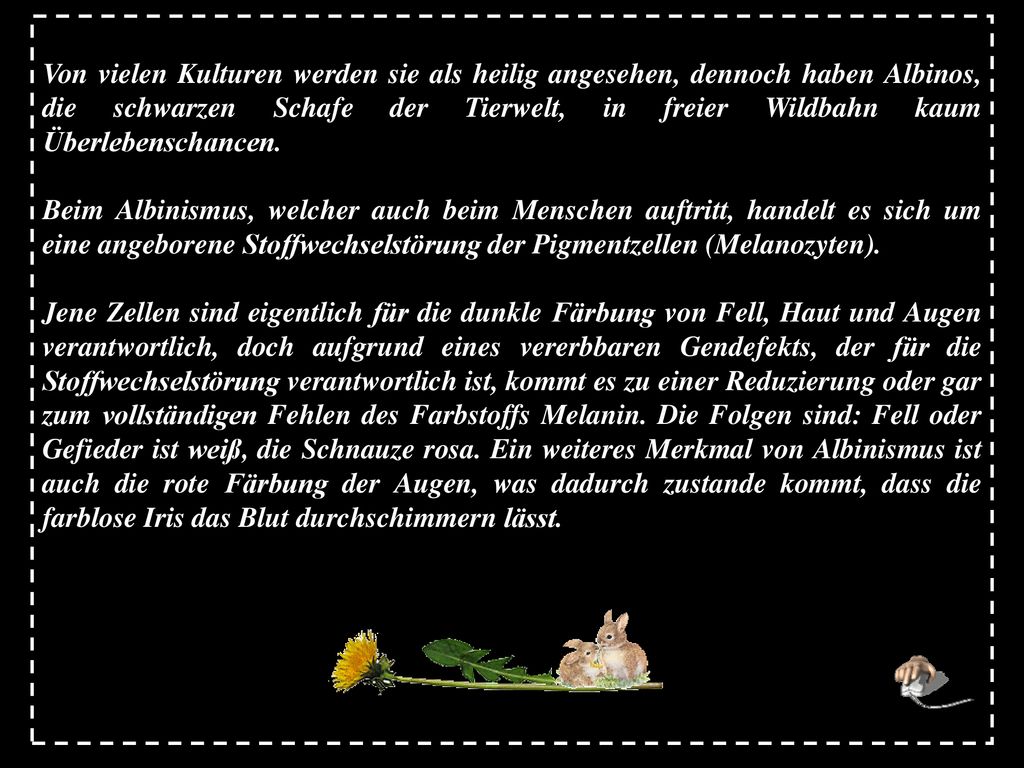 Von vielen Kulturen werden sie als heilig angesehen, dennoch haben Albinos, die schwarzen Schafe der Tierwelt, in freier Wildbahn kaum Überlebenschancen.