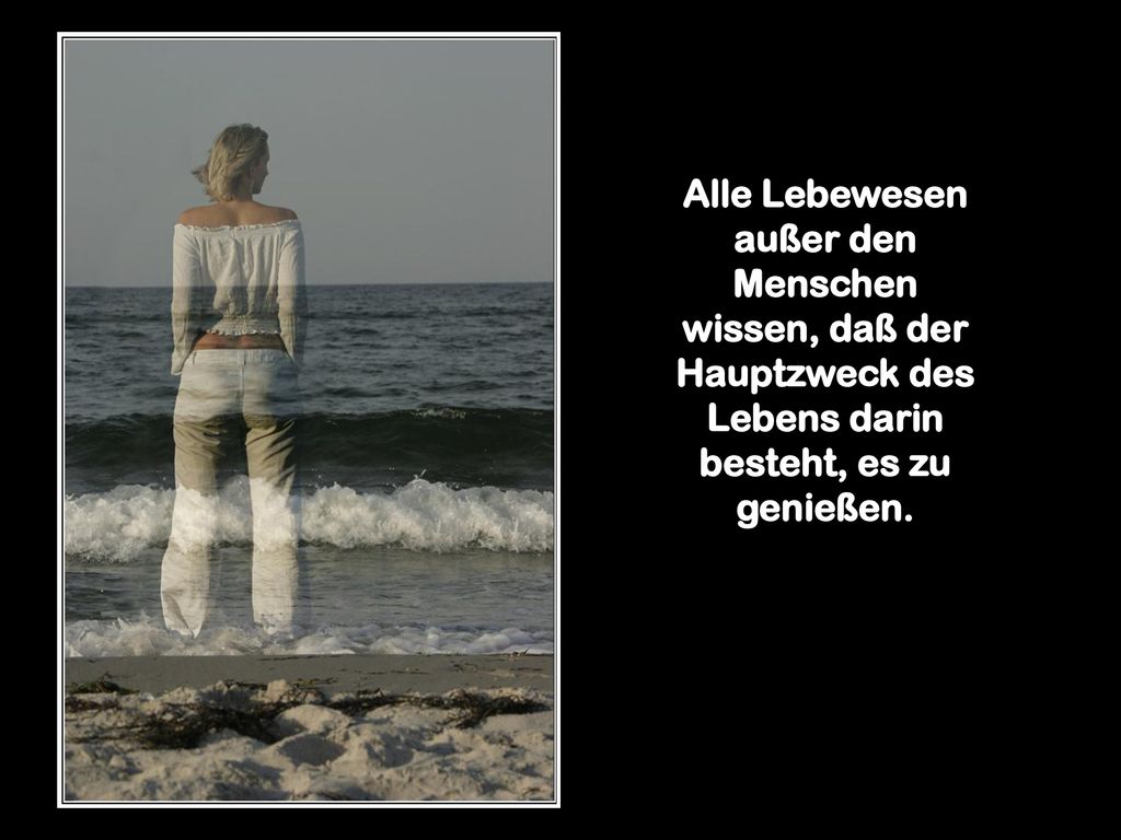 Alle Lebewesen außer den Menschen wissen, daß der Hauptzweck des Lebens darin besteht, es zu genießen.