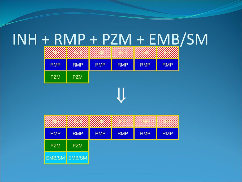 INH + RMP + PZM + EMB/SM  INH RMP PZM INH RMP PZM EMB/SM
