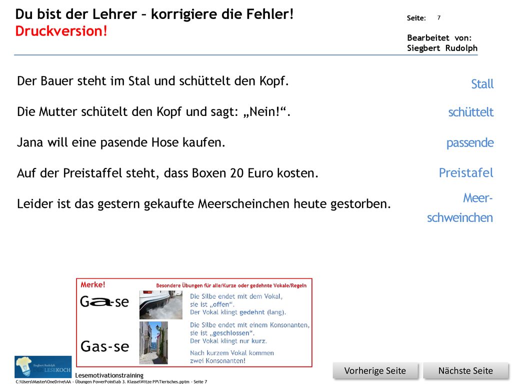 Du bist der Lehrer – korrigiere die Fehler! Druckversion!