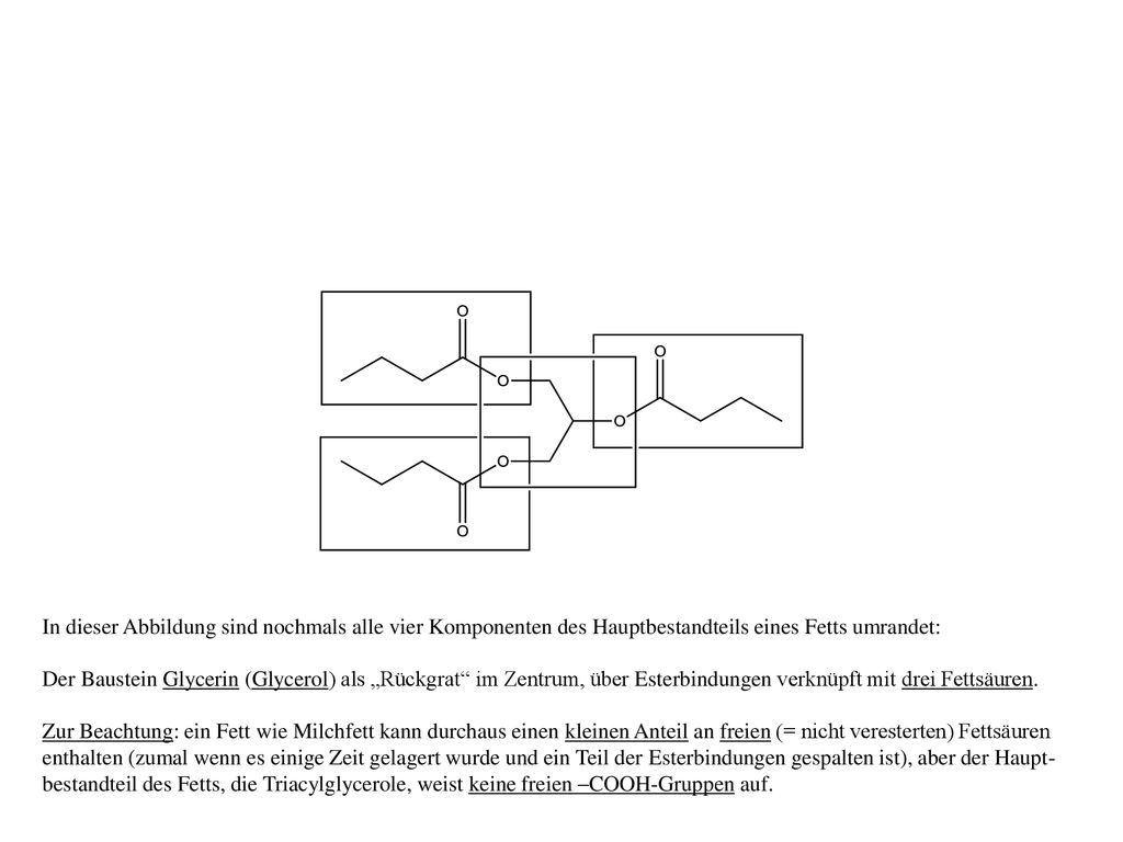In dieser Abbildung sind nochmals alle vier Komponenten des Hauptbestandteils eines Fetts umrandet: