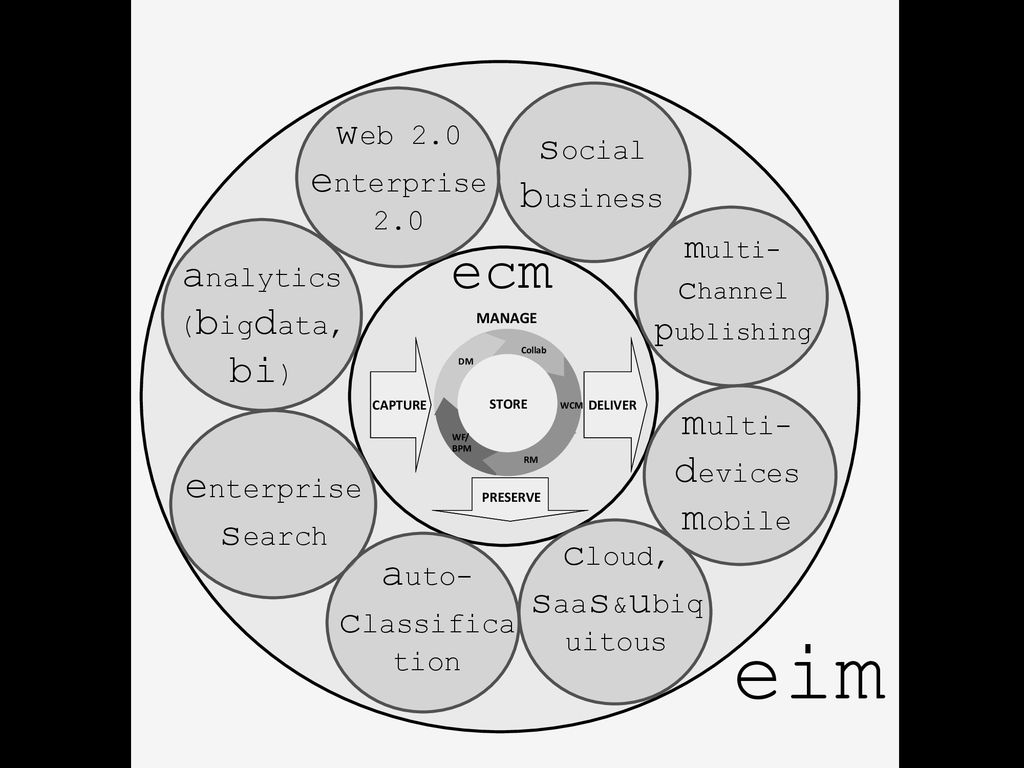 eim ecm web 2.0 enterprise 2.0 social business analytics (bigdata, bi)