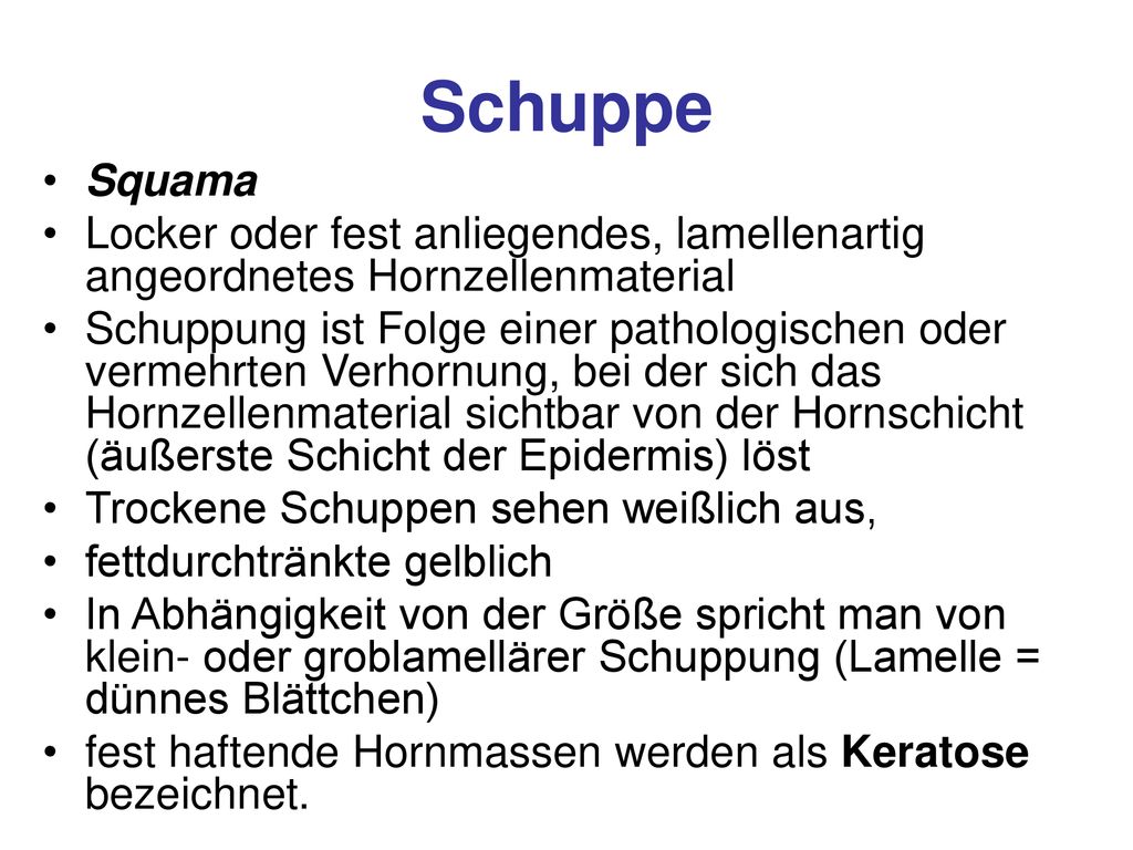 Schuppe Squama. Locker oder fest anliegendes, lamellenartig angeordnetes Hornzellenmaterial.