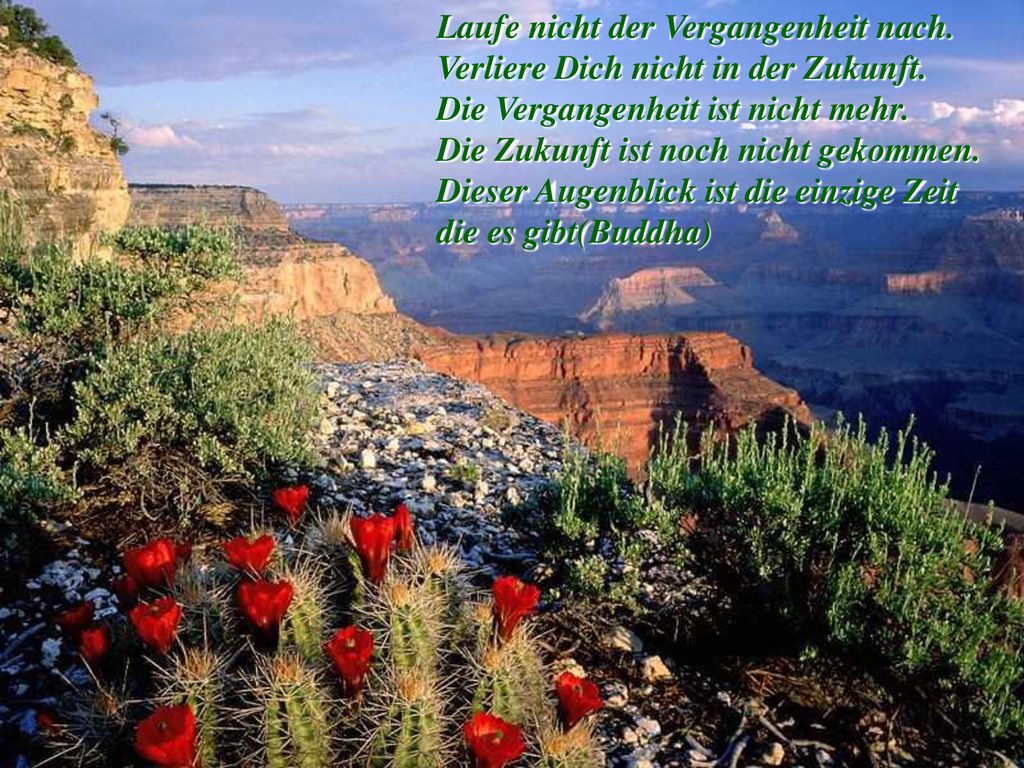 Laufe nicht der Vergangenheit nach. Verliere Dich nicht in der Zukunft