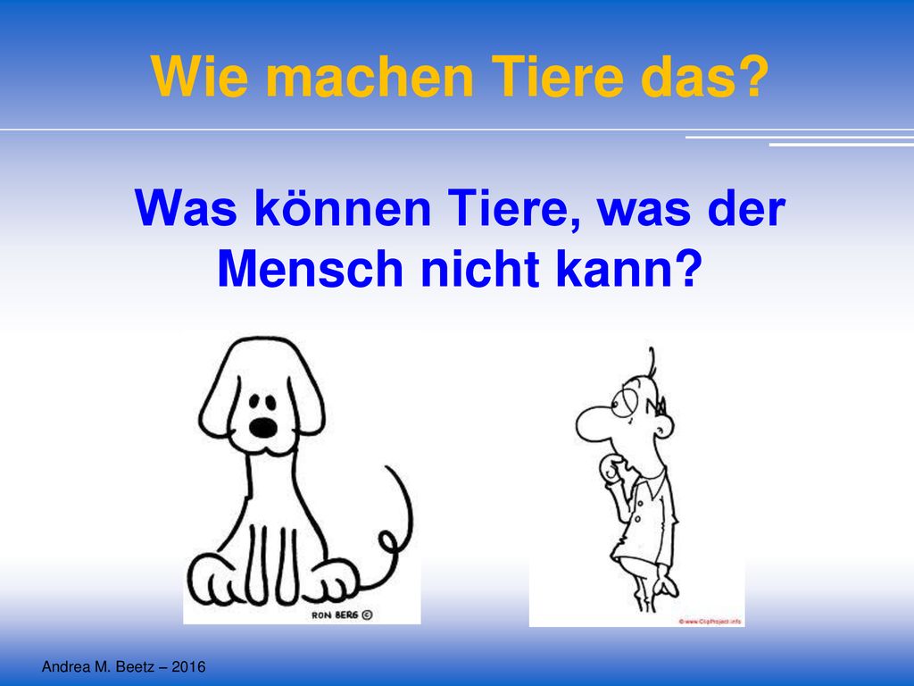 Wie machen Tiere das Was können Tiere, was der Mensch nicht kann