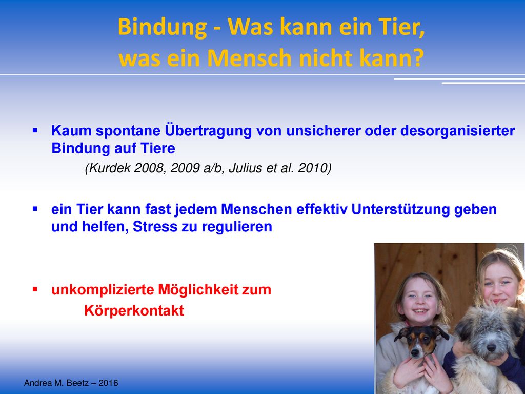 Bindung - Was kann ein Tier, was ein Mensch nicht kann