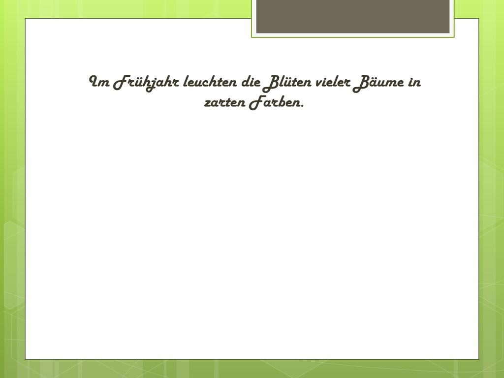 Im Frühjahr leuchten die Blüten vieler Bäume in zarten Farben.