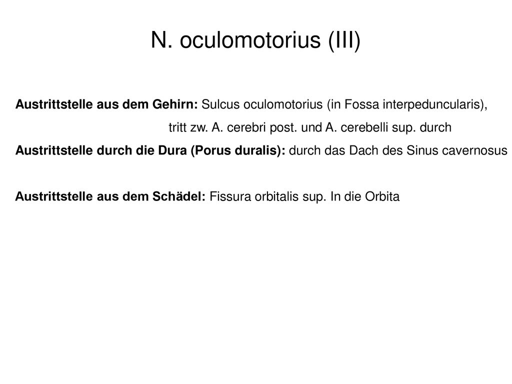 N. oculomotorius (III) Austrittstelle aus dem Gehirn: Sulcus oculomotorius (in Fossa interpeduncularis),