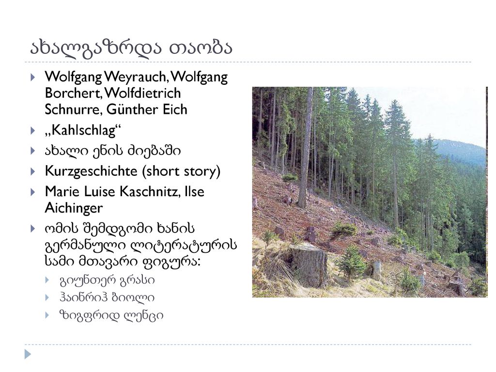 ახალგაზრდა თაობა Wolfgang Weyrauch, Wolfgang Borchert, Wolfdietrich Schnurre, Günther Eich. „Kahlschlag