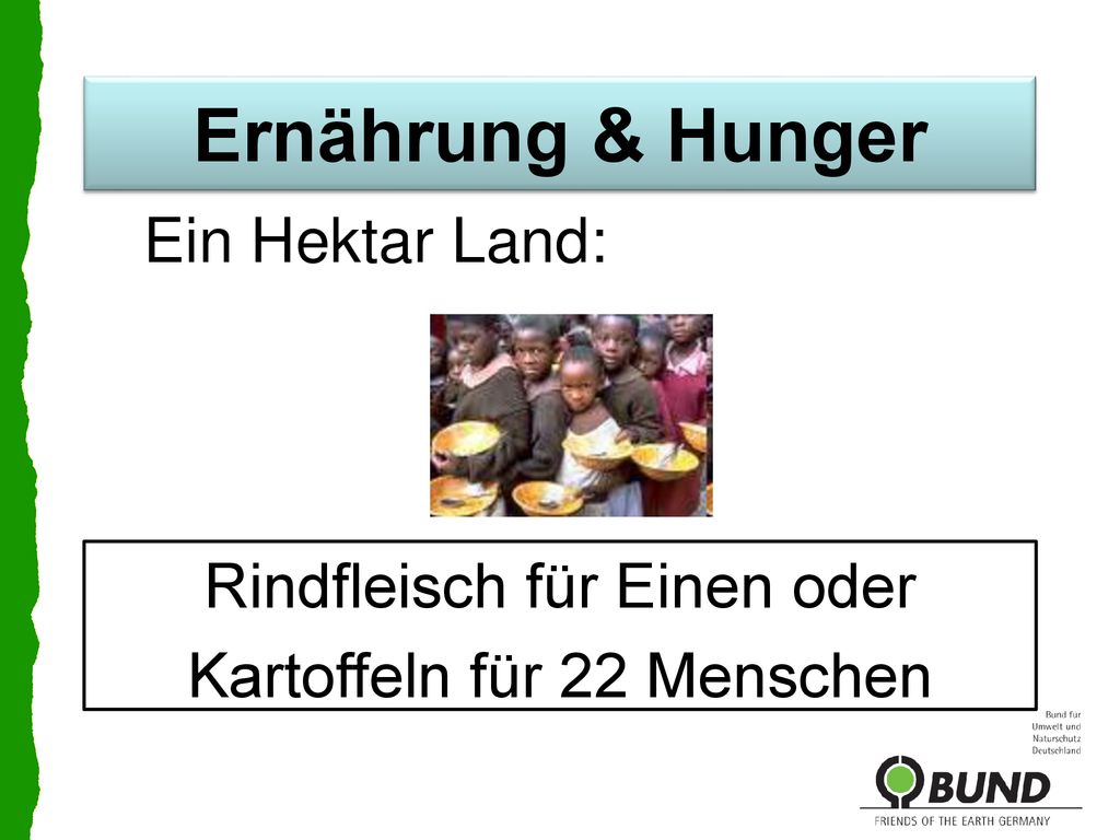 Ernährung & Hunger Ein Hektar Land: Rindfleisch für Einen oder
