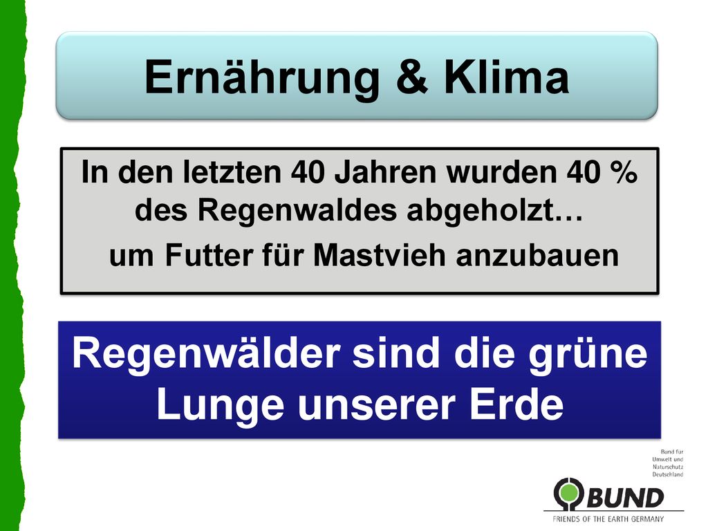 Ernährung & Klima Regenwälder sind die grüne Lunge unserer Erde