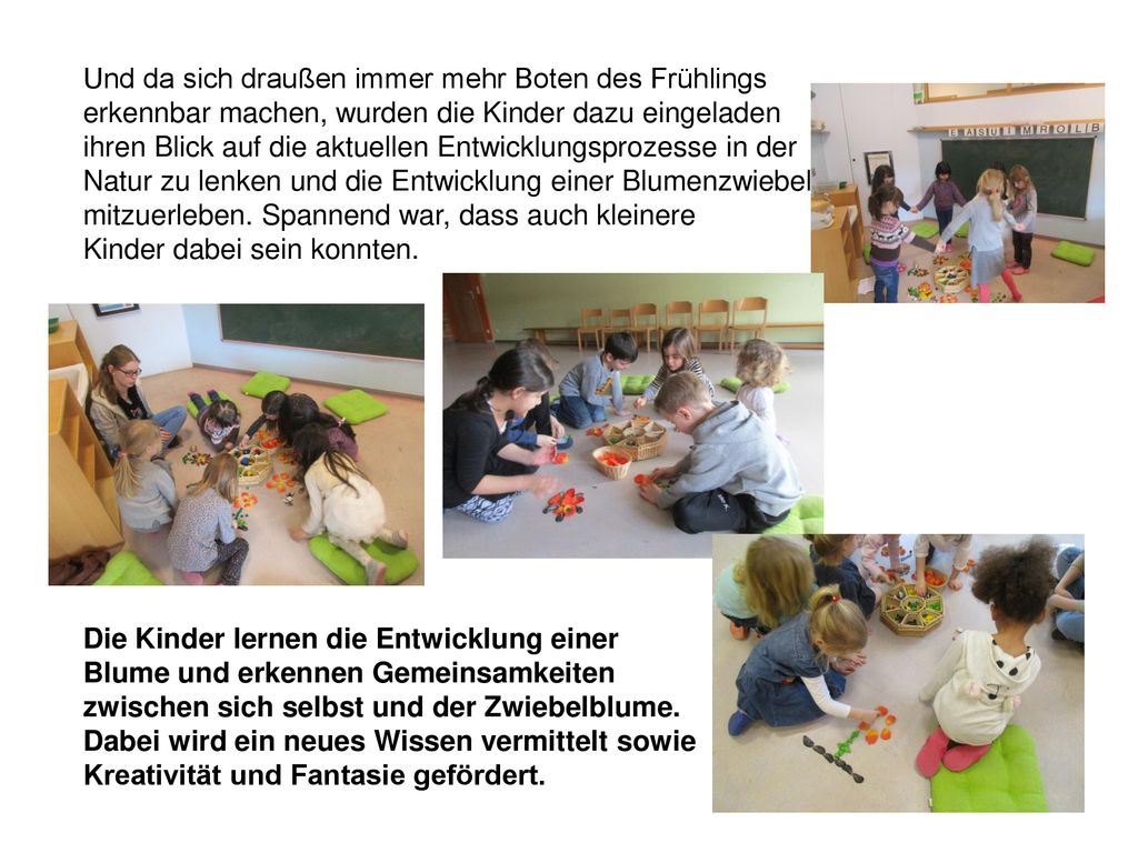 Und da sich draußen immer mehr Boten des Frühlings erkennbar machen, wurden die Kinder dazu eingeladen ihren Blick auf die aktuellen Entwicklungsprozesse in der Natur zu lenken und die Entwicklung einer Blumenzwiebel mitzuerleben. Spannend war, dass auch kleinere