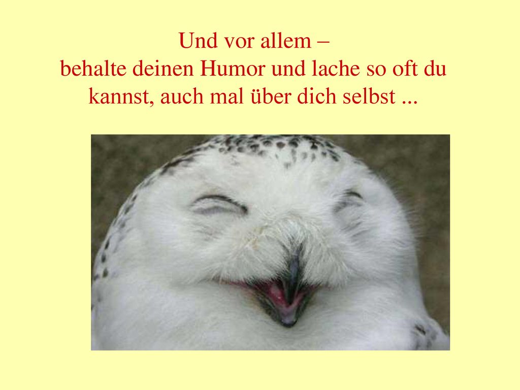 Und vor allem – behalte deinen Humor und lache so oft du kannst, auch mal über dich selbst ...