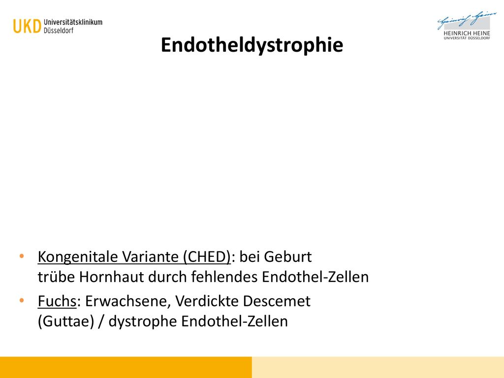Endotheldystrophie Kongenitale Variante (CHED): bei Geburt trübe Hornhaut durch fehlendes Endothel-Zellen.