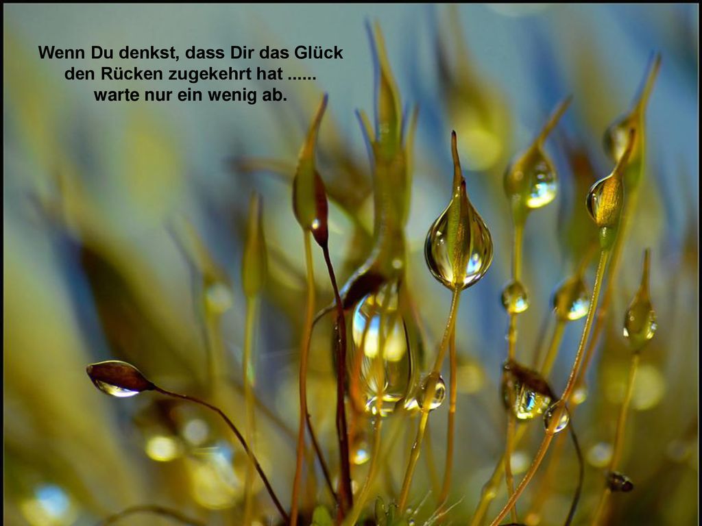 Wenn Du denkst, dass Dir das Glück den Rücken zugekehrt hat