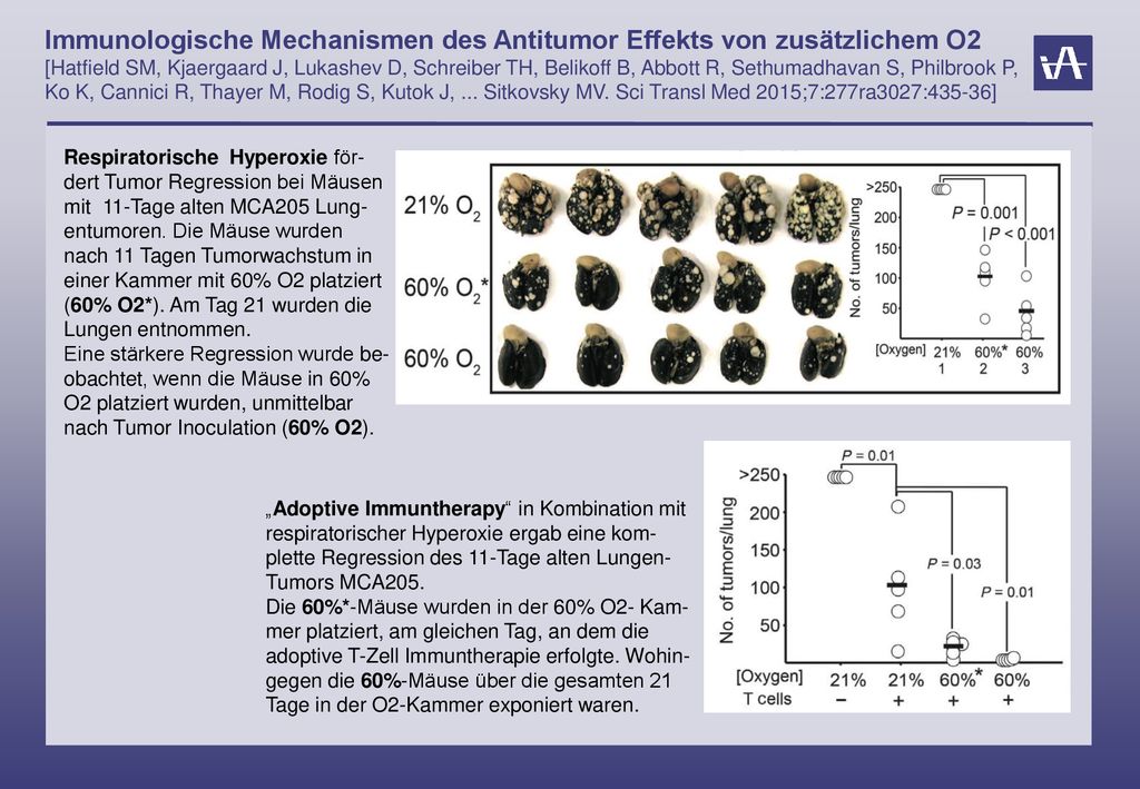 Immunologische Mechanismen des Antitumor Effekts von zusätzlichem O2 [Hatfield SM, Kjaergaard J, Lukashev D, Schreiber TH, Belikoff B, Abbott R, Sethumadhavan S, Philbrook P, Ko K, Cannici R, Thayer M, Rodig S, Kutok J, ... Sitkovsky MV. Sci Transl Med 2015;7:277ra3027:435-36]