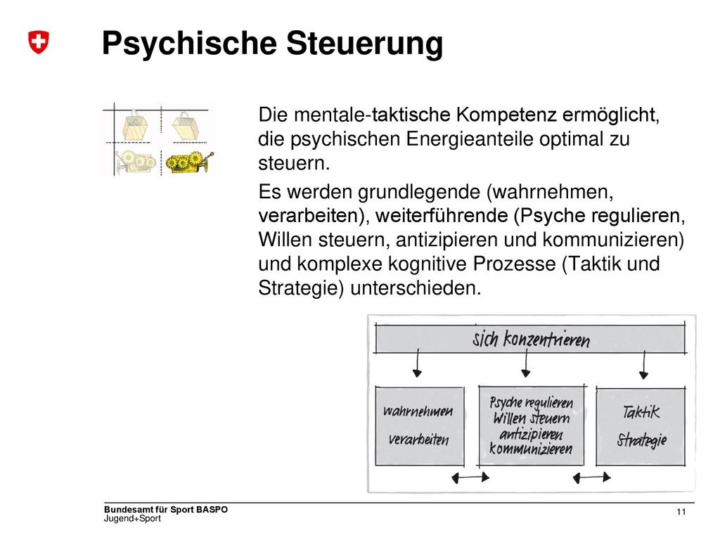 Psychische Steuerung Die mentale-taktische Kompetenz ermöglicht, die psychischen Energieanteile optimal zu steuern.