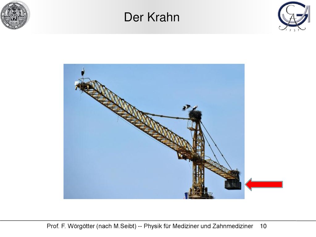 Der Krahn Prof. F. Wörgötter (nach M.Seibt) -- Physik für Mediziner und Zahnmediziner 10
