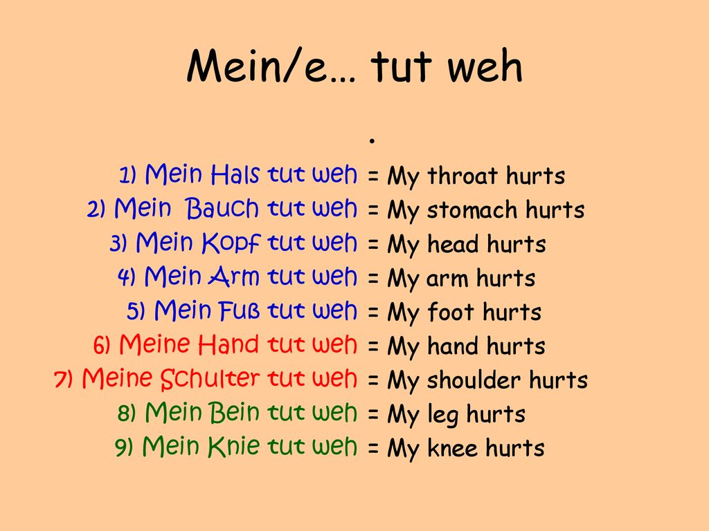 Mein/e… tut weh 1) Mein Hals tut weh 2) Mein Bauch tut weh