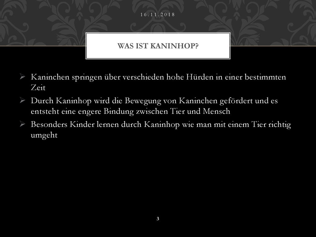 Was ist Kaninhop Kaninchen springen über verschieden hohe Hürden in einer bestimmten Zeit.
