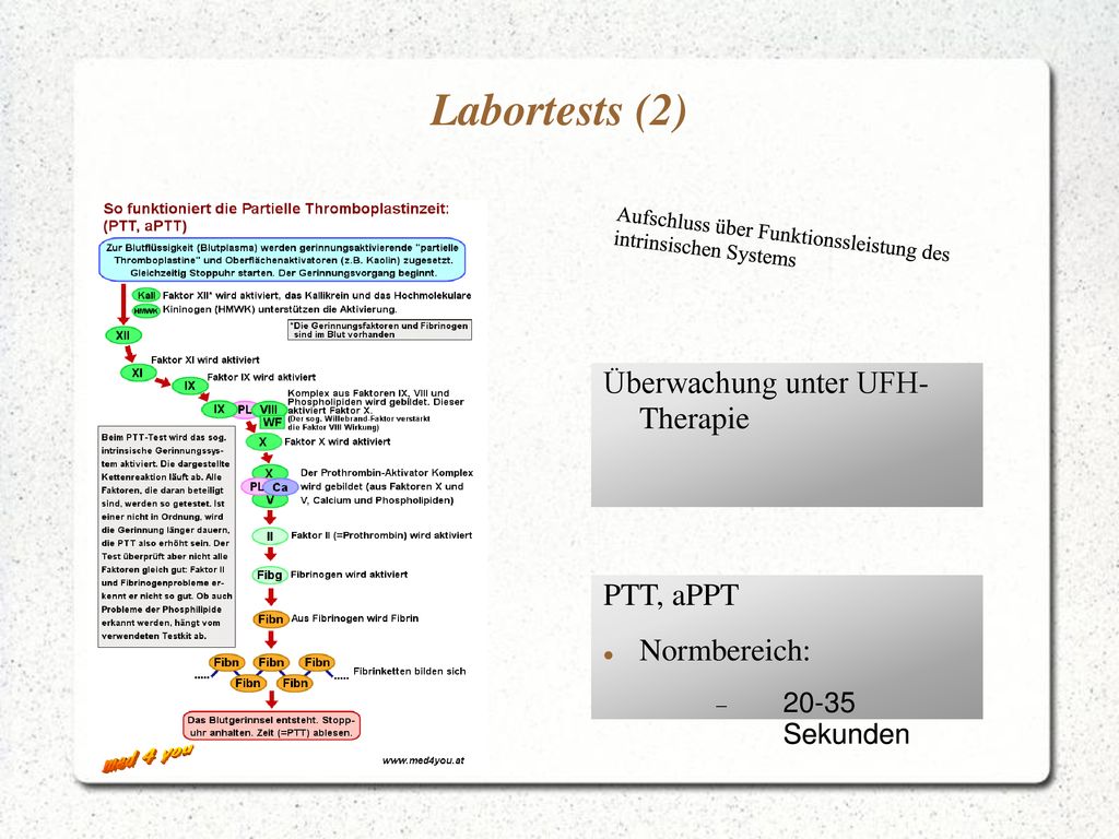 Labortests (2) Überwachung unter UFH- Therapie PTT, aPPT Normbereich:
