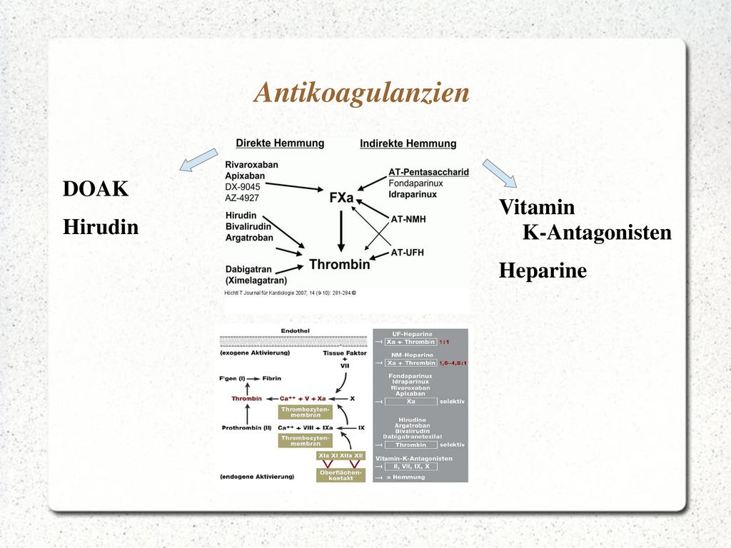 Antikoagulanzien DOAK Hirudin Vitamin K-Antagonisten Heparine