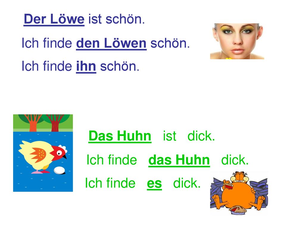 Der Löwe ist schön. Ich finde den Löwen schön. Ich finde ihn schön. Das Huhn ist dick. Ich finde das Huhn dick.