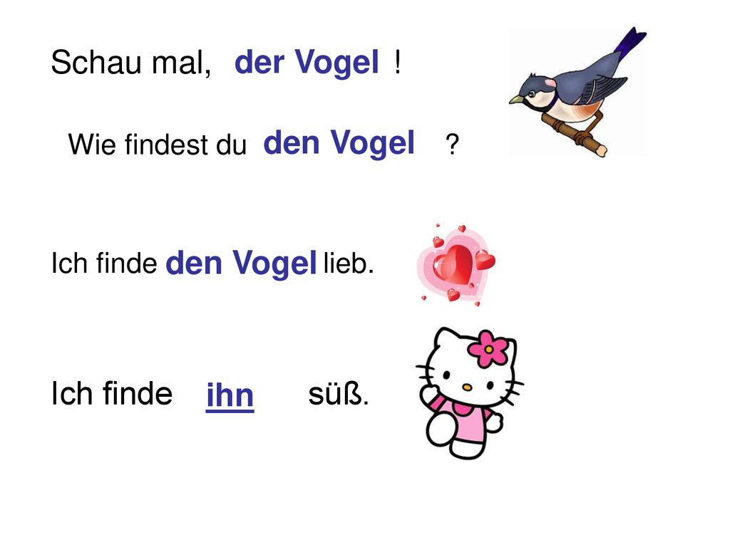 Schau mal, ! der Vogel den Vogel den Vogel ihn Ich finde süß.