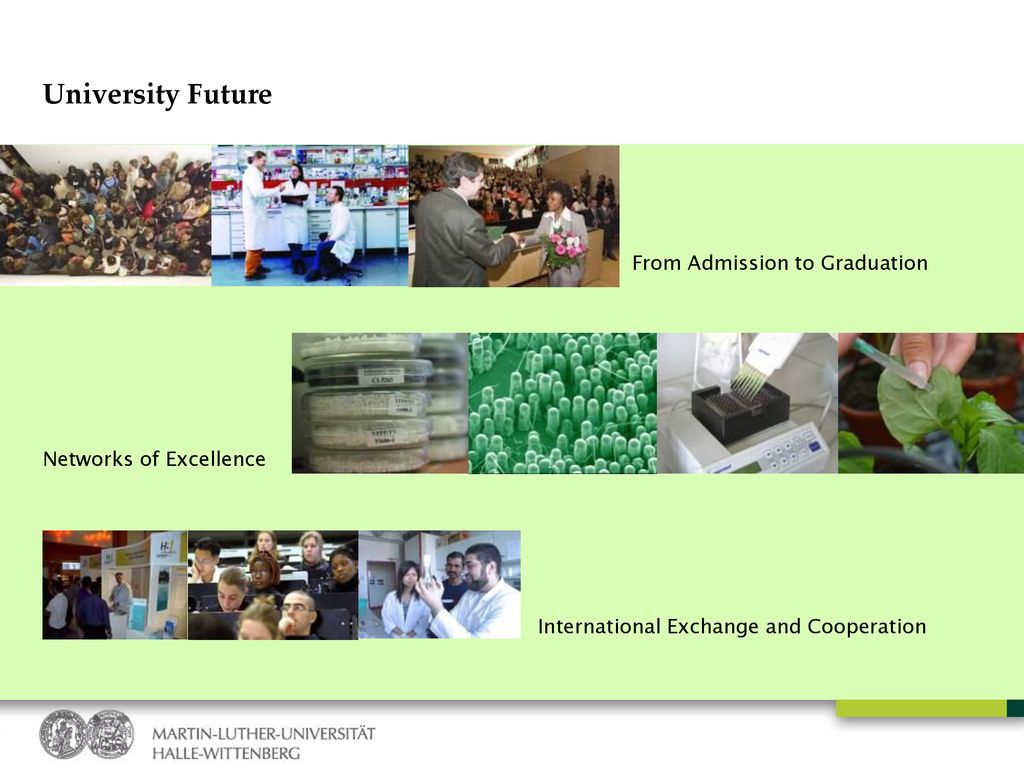 University Future From Admission to Graduation Networks of Excellence