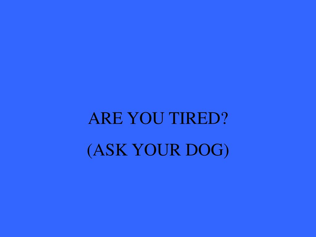 Eleanor M. Savko 11/16/2018 ARE YOU TIRED (ASK YOUR DOG)