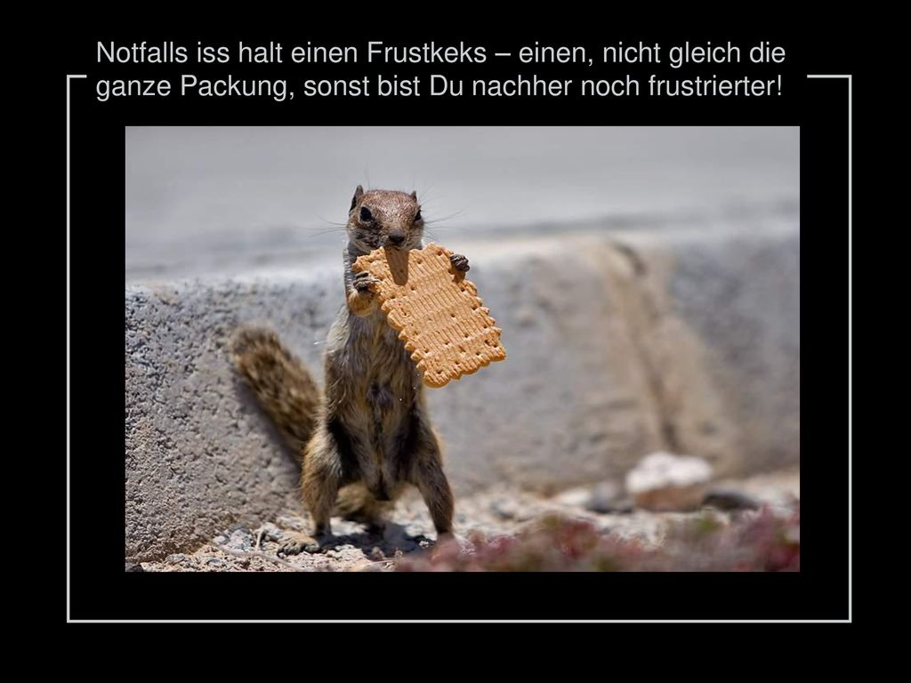 Notfalls iss halt einen Frustkeks – einen, nicht gleich die ganze Packung, sonst bist Du nachher noch frustrierter!