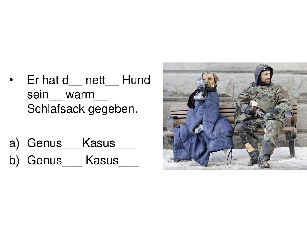 Er hat d__ nett__ Hund sein__ warm__ Schlafsack gegeben.