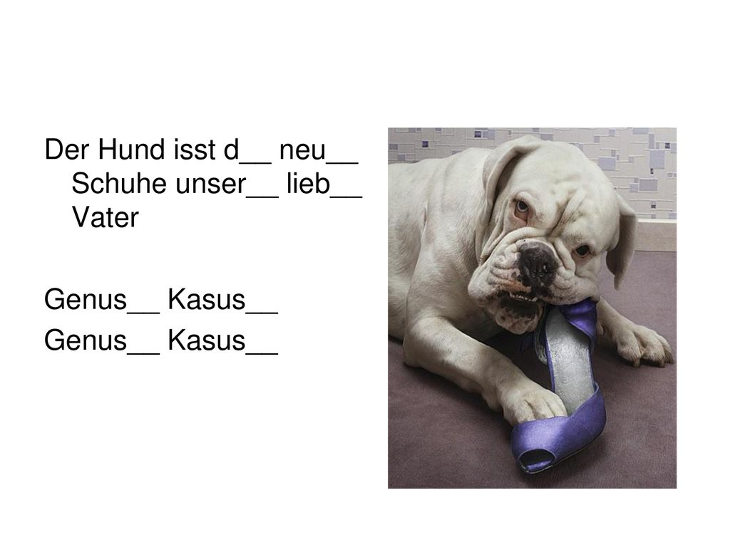 Der Hund isst d__ neu__ Schuhe unser__ lieb__ Vater