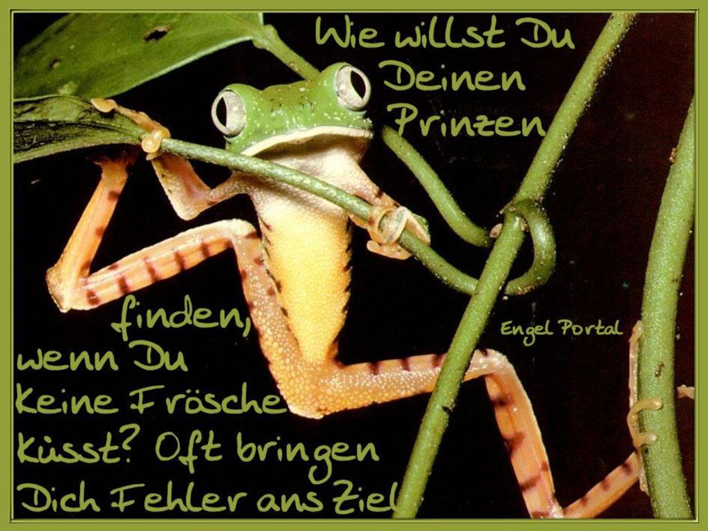 Versuche nicht die Vergangenheit rückgängig zu machen, denn verschüttetes Wasser ist schwer zu sammeln