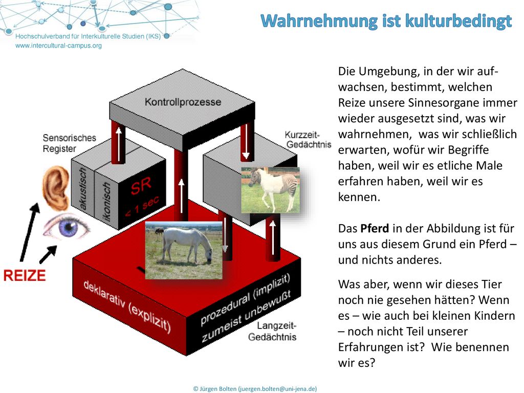 Die Umgebung, in der wir auf-wachsen, bestimmt, welchen Reize unsere Sinnesorgane immer wieder ausgesetzt sind, was wir wahrnehmen, was wir schließlich erwarten, wofür wir Begriffe haben, weil wir es etliche Male erfahren haben, weil wir es kennen.