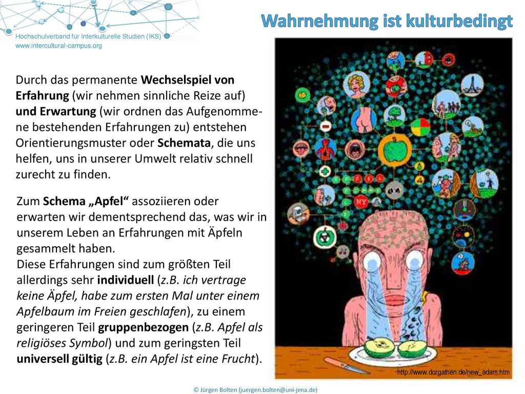 Durch das permanente Wechselspiel von Erfahrung (wir nehmen sinnliche Reize auf) und Erwartung (wir ordnen das Aufgenomme-ne bestehenden Erfahrungen zu) entstehen Orientierungsmuster oder Schemata, die uns helfen, uns in unserer Umwelt relativ schnell zurecht zu finden.