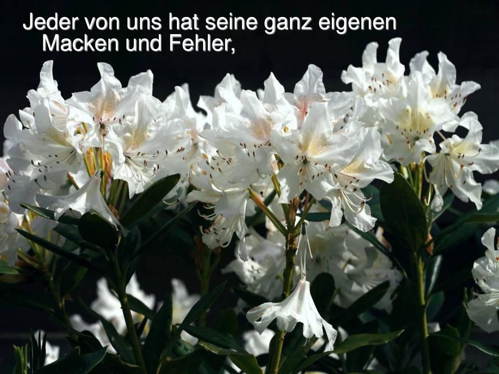 Jeder von uns hat seine ganz eigenen Macken und Fehler,